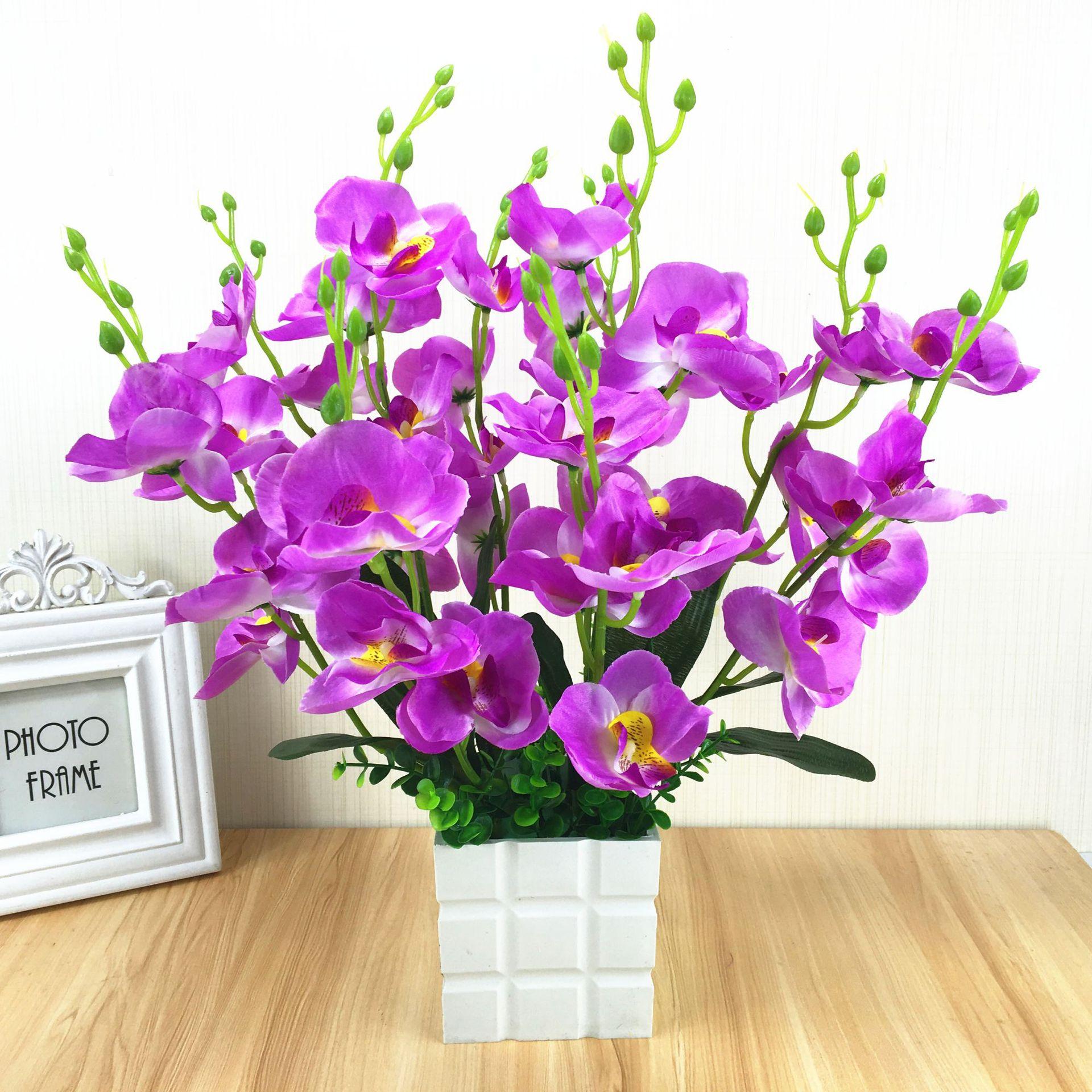 花苞半开就脱落,花苞掉了一地怎么办