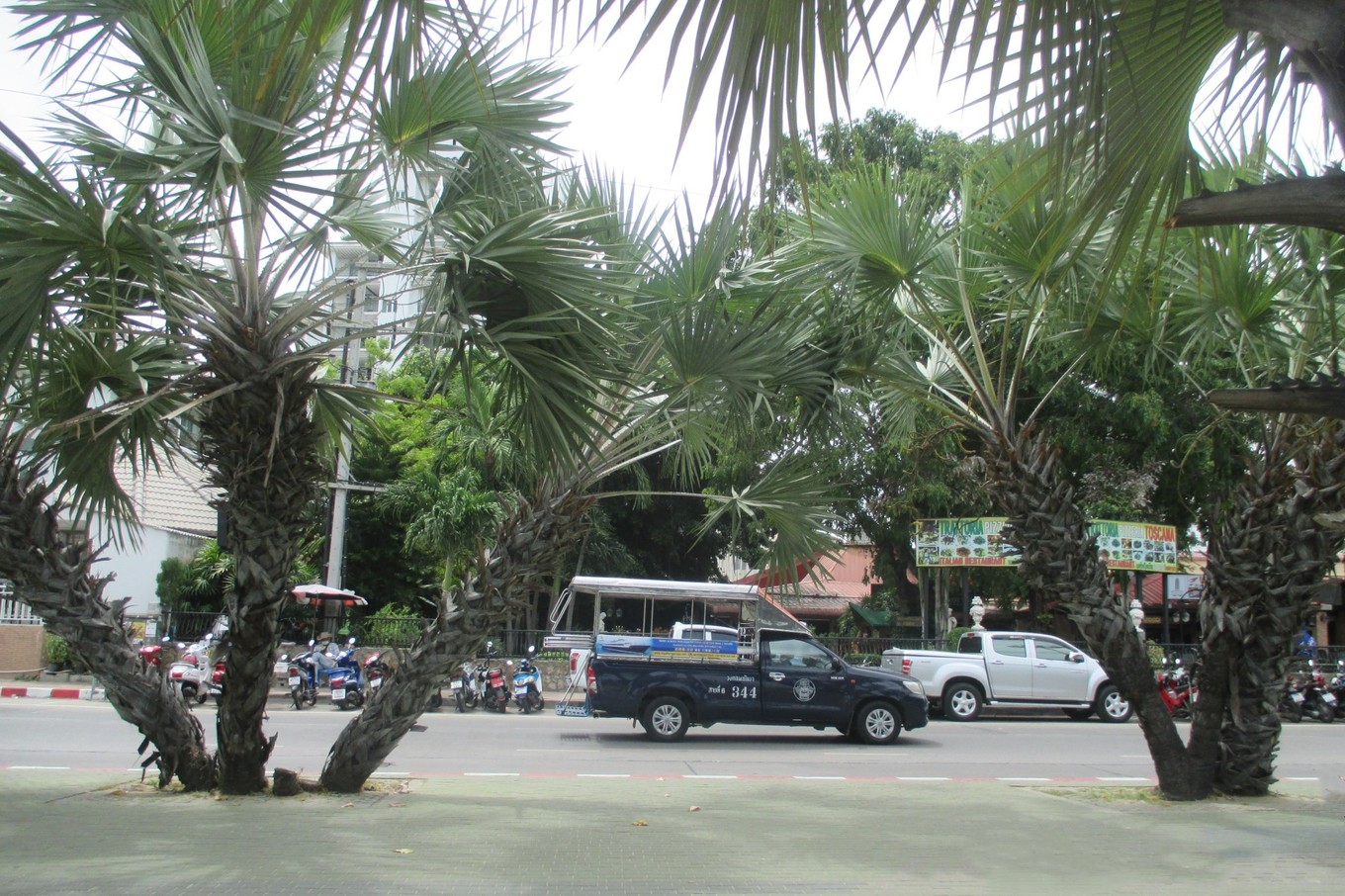 泰国芭提雅旅游攻略,泰国芭提雅最佳旅游攻略