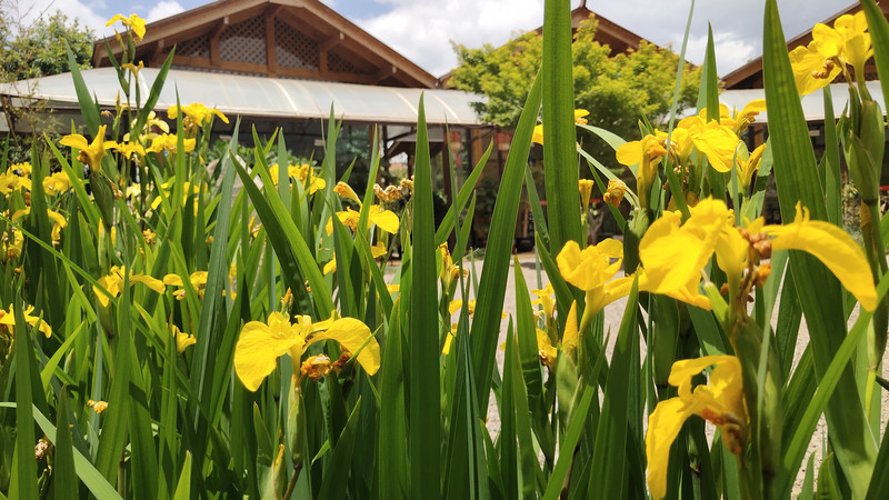 昆明旅游攻略住宿酒店自由行推荐,昆明市中心旅游攻略住宿酒店推荐
