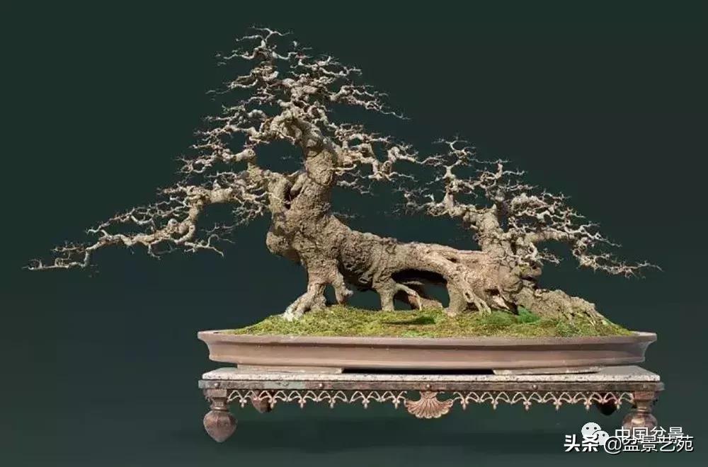 鏈存爲寰楀鐩嗘櫙,椤剁骇鏈存爲鐩嗘櫙娆ｈ祻