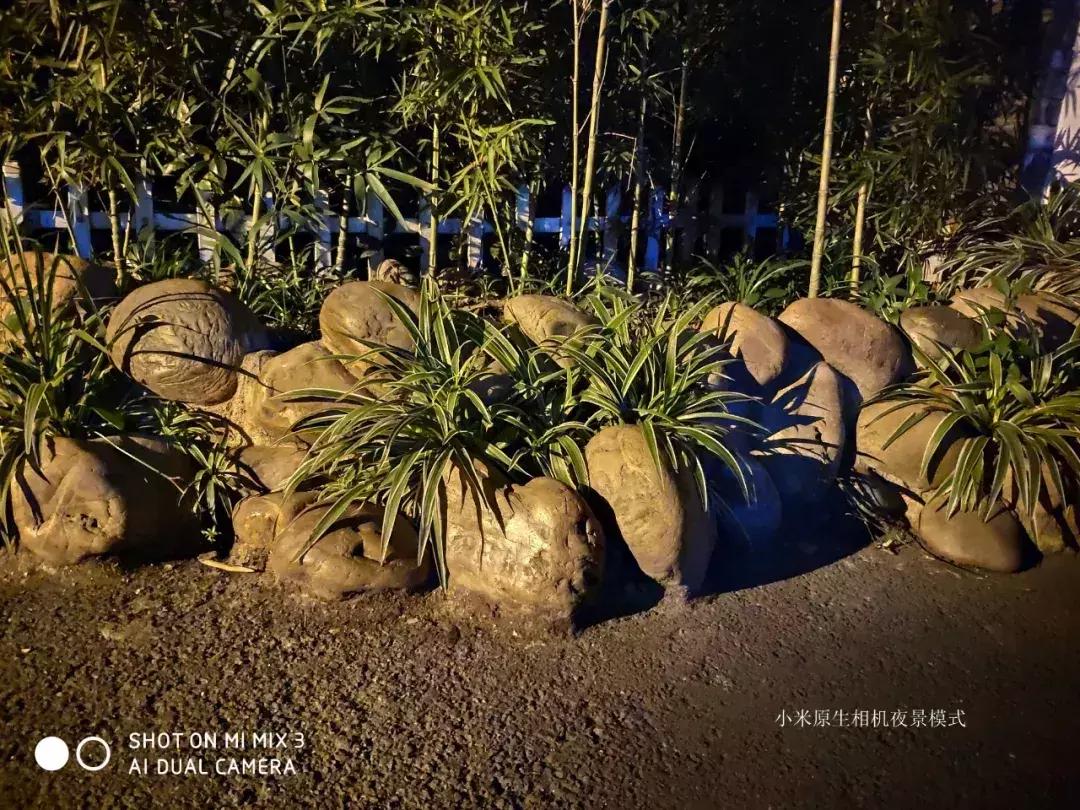 千元机变万元机,千元机拍照堪比苹果