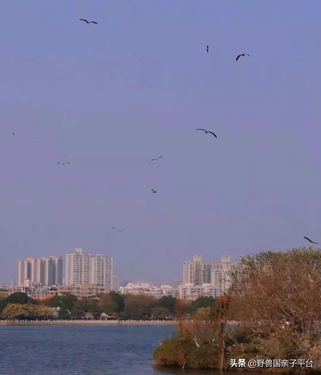 广州遛娃旅游推荐路线攻略,广州遛娃清单升级版