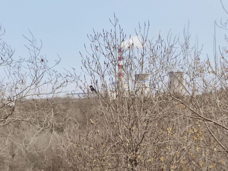 乌鲁木齐免费玩的地方运动场地,乌鲁木齐游玩适合烧烤的地方