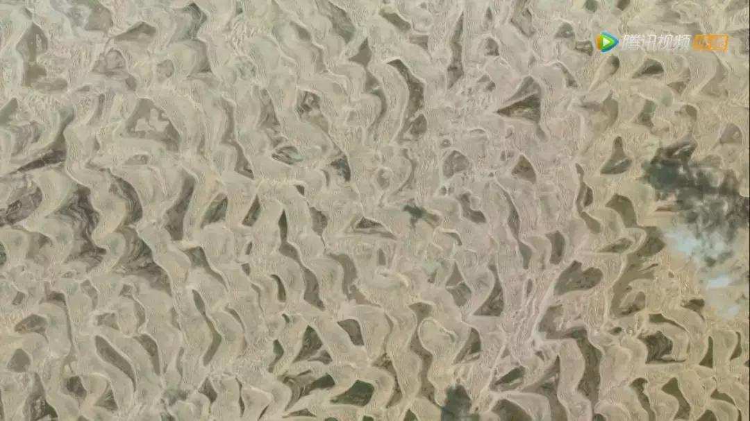 这部BBC纪录片一开播就拿下9.5高分，除了美更培养了孩子的世界观