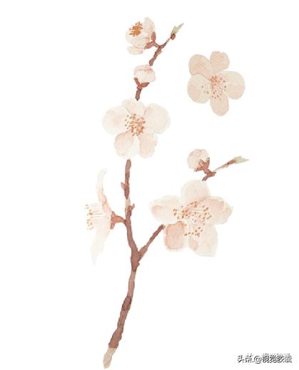 日系极简风ppt,日式极简风ppt