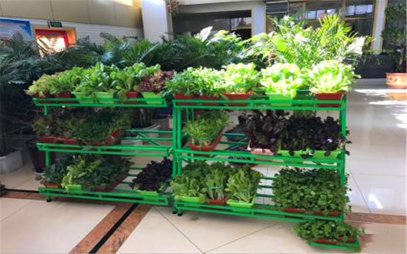 50岁以下做什么工作好些,50多岁的人做什么工作比较合适