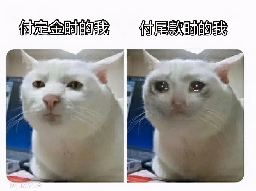 618买什么牌子洗衣机最实惠,1000元最划算洗衣机