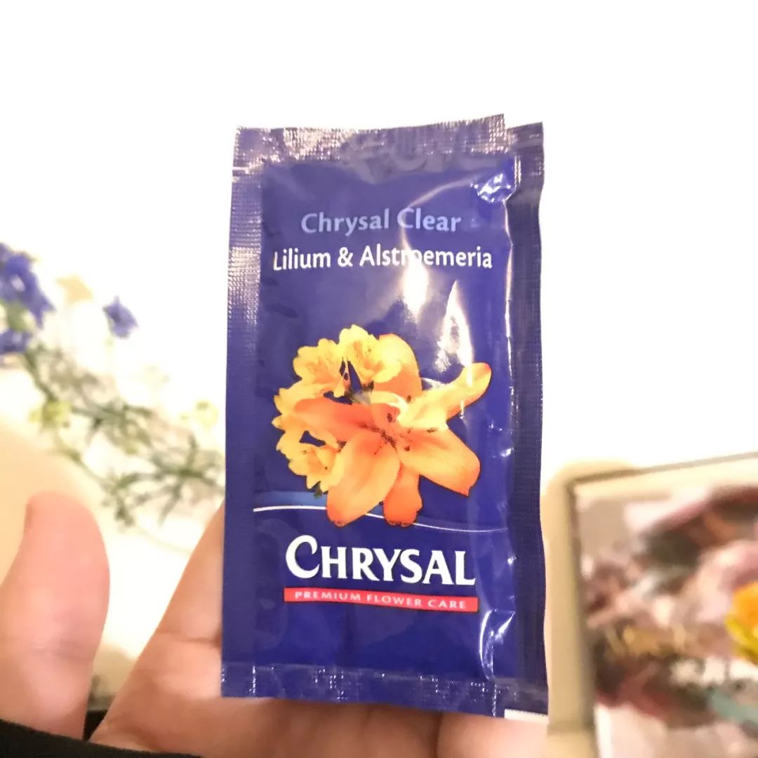 什么花最受女孩欢迎,女孩子中比较受欢迎的花