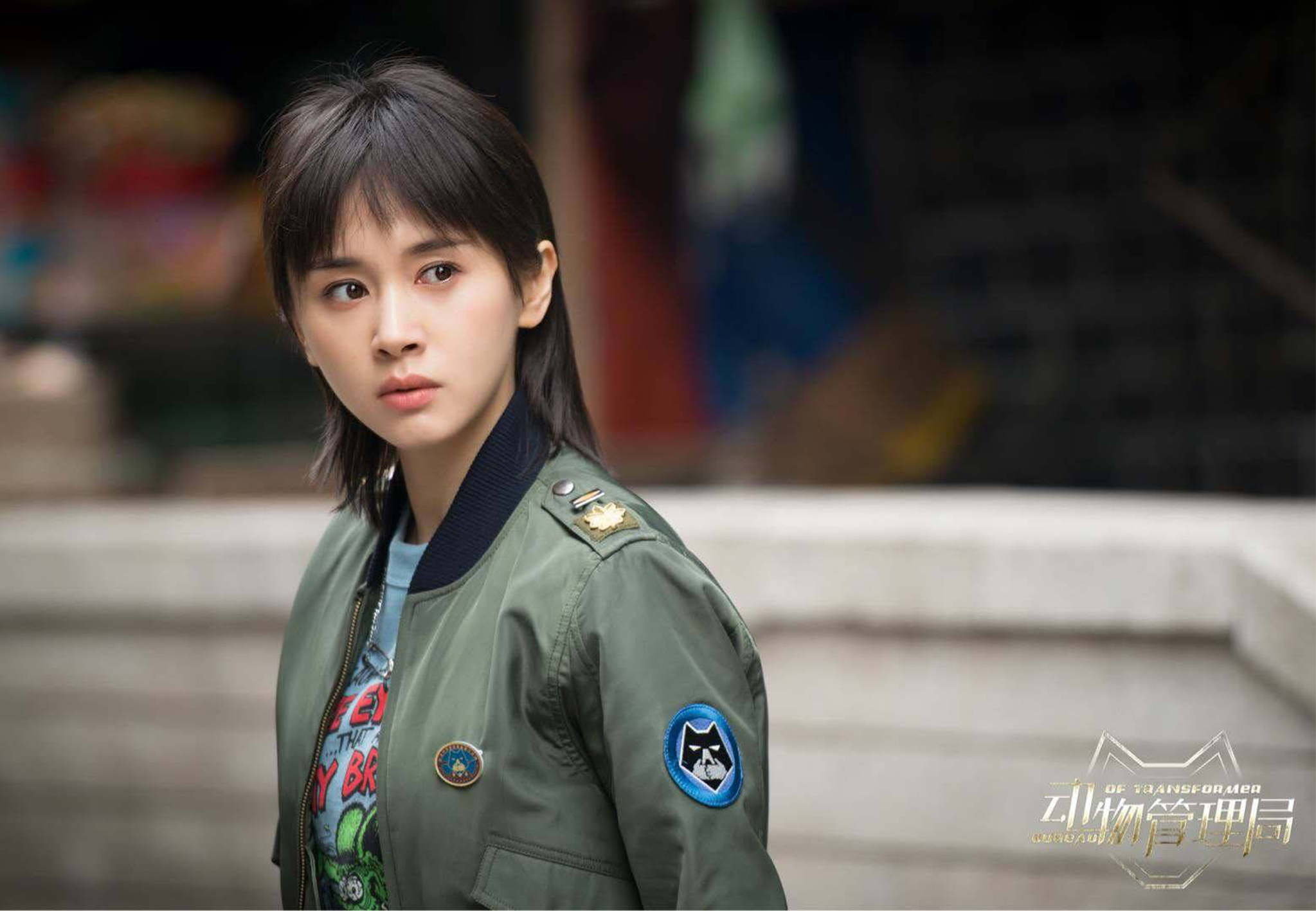 动物管理局大结局解读,动物管理局结局解读