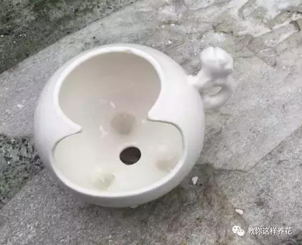 切割陶瓷酒瓶做花盆最简单的方法,没有工具怎么把陶瓷酒瓶弄成花盆