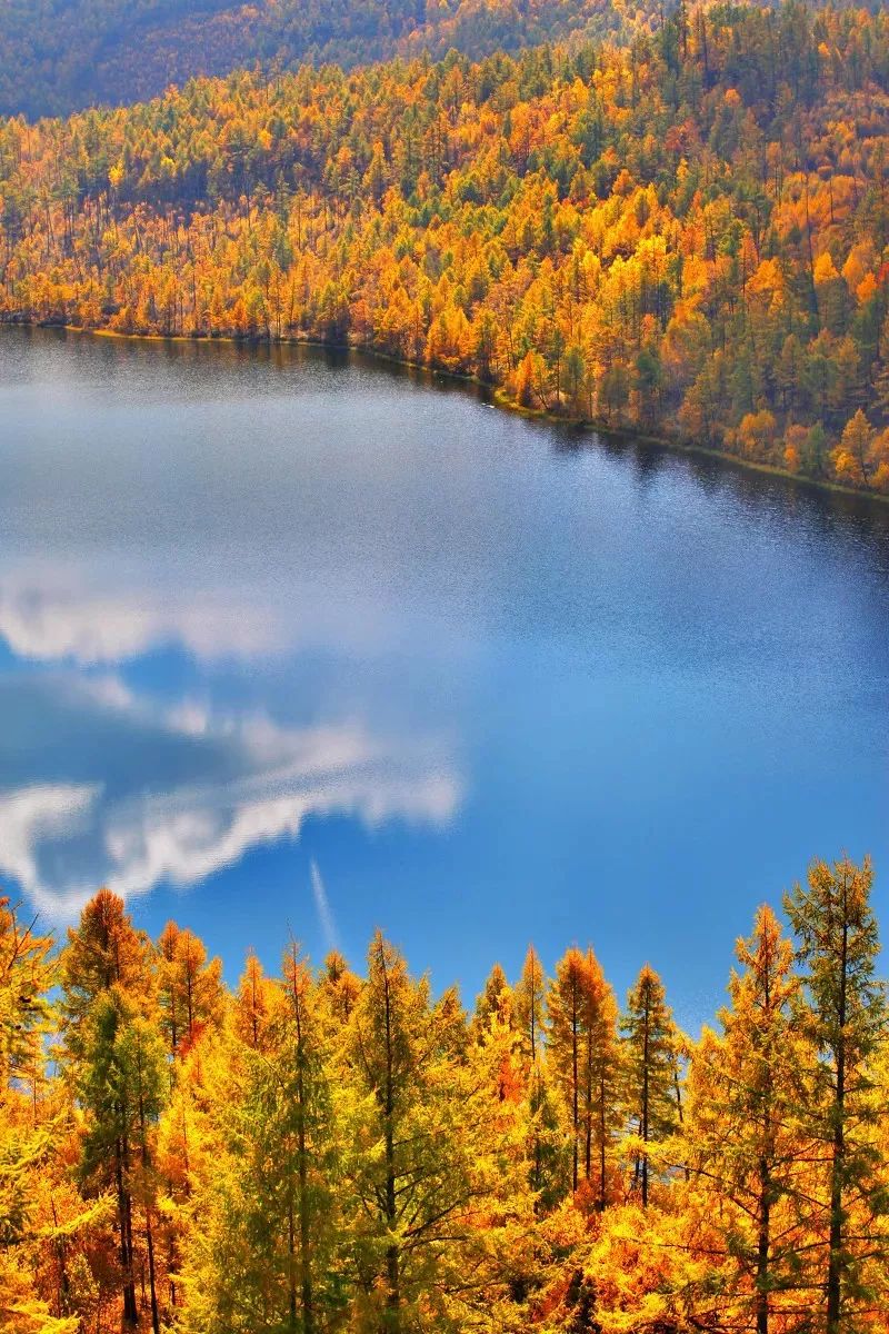 秋天最值得去的四个地方,秋天全部的风景