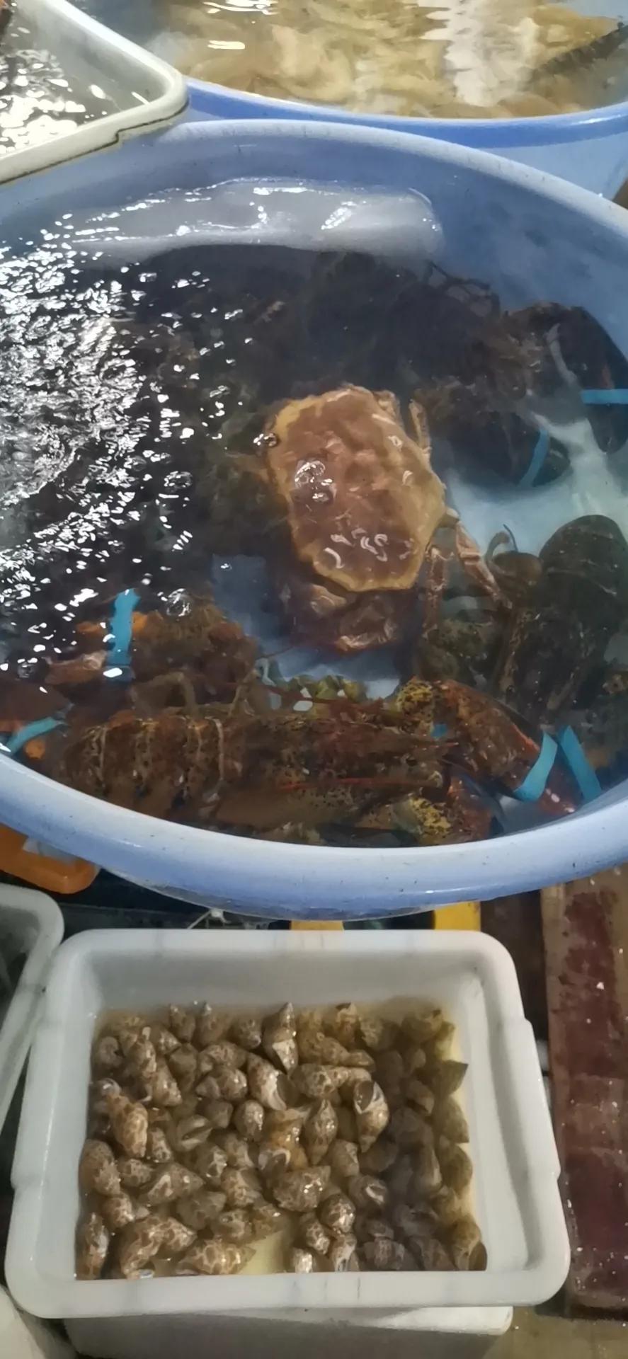 北海涠洲岛一日游玩攻略,广西北海涠洲岛避坑全攻略