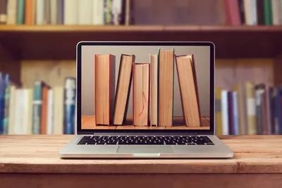 邵燕君推荐小说,邵燕君主编的书