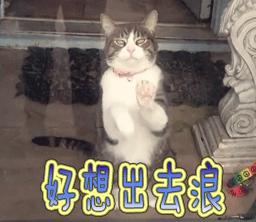 大连九月旅游攻略大全,大连11月旅游的最佳地方