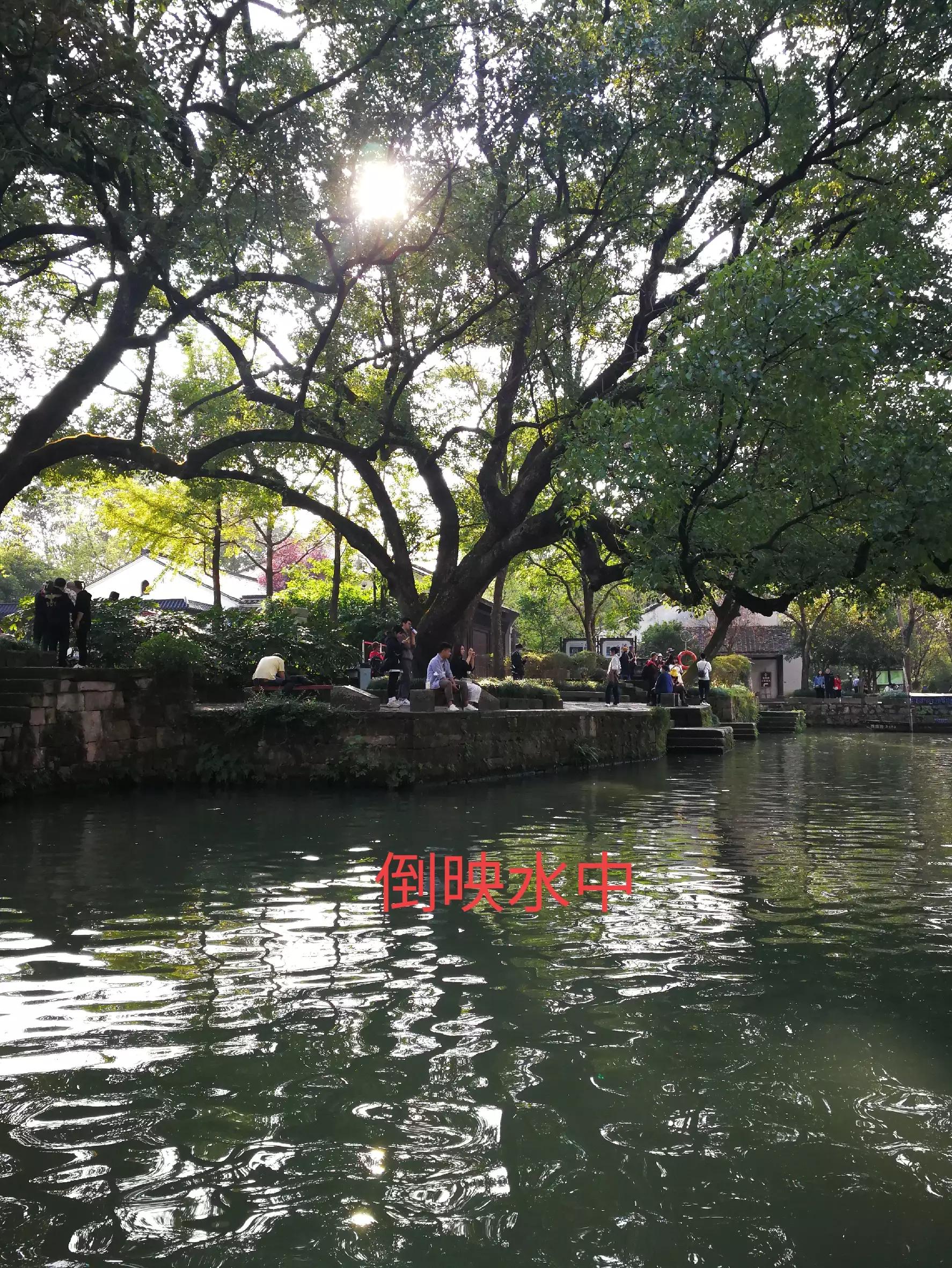 游览杭州西溪湿地，荡漾在四通八达的河道上，沁人心脾，一起看看