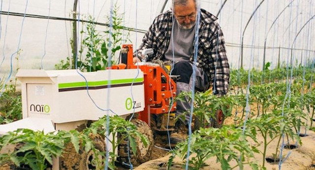 机器人占领全世界,机器人占领整座城市