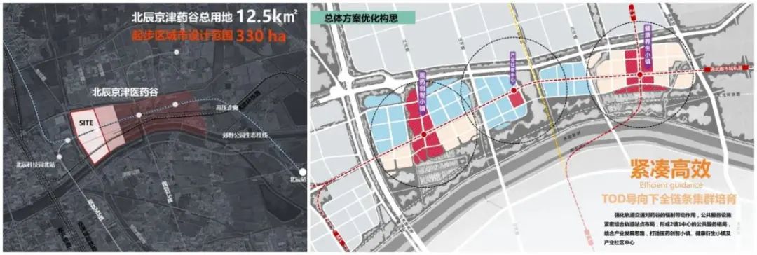 武清区最新发展消息,武清区这些年的发展趋势
