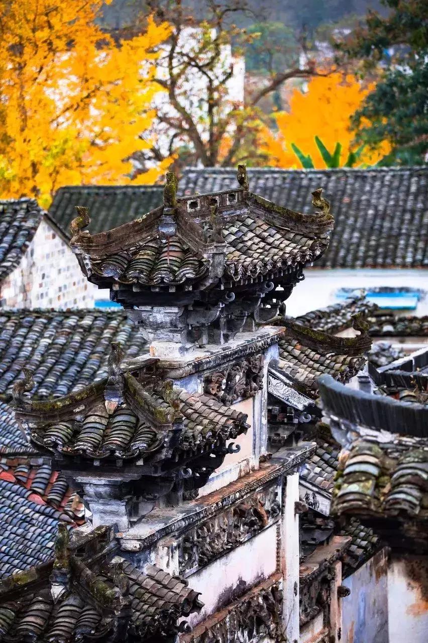 一个徽州惊艳全世界,徽州凭什么惊艳世界