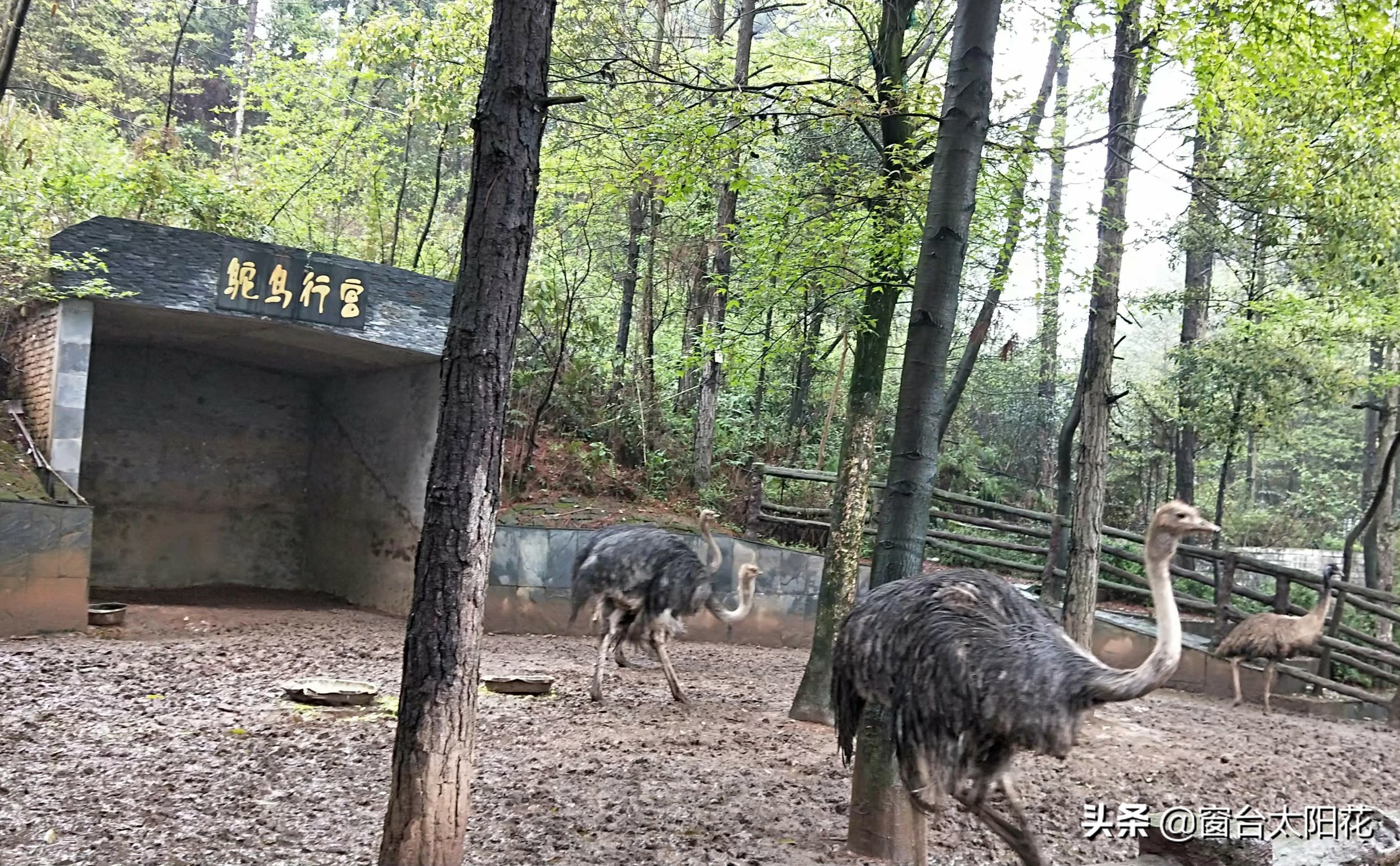 独自穷游西藏,独自穷游中国之湖北恩施