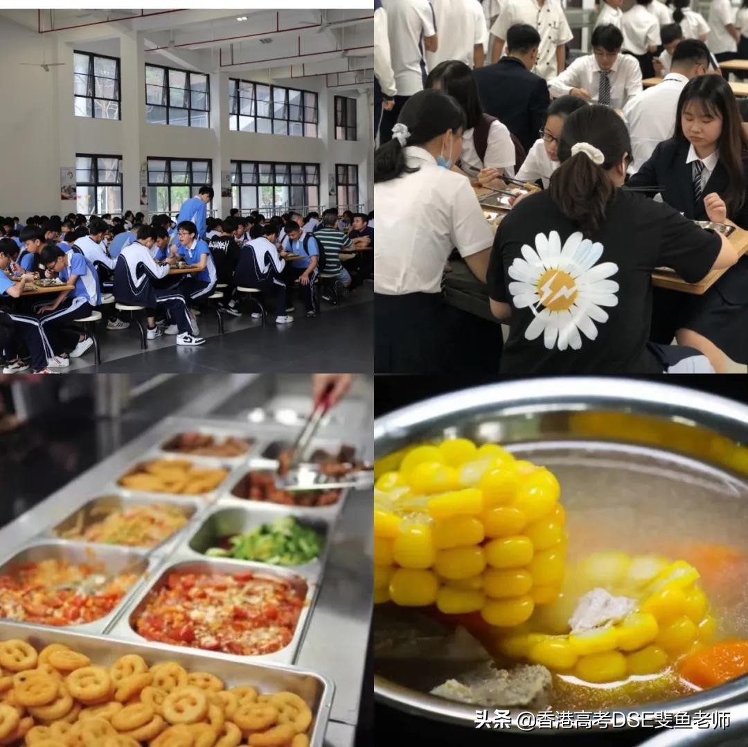 鲸帆dse国际,鲸帆dse国际学校创作人