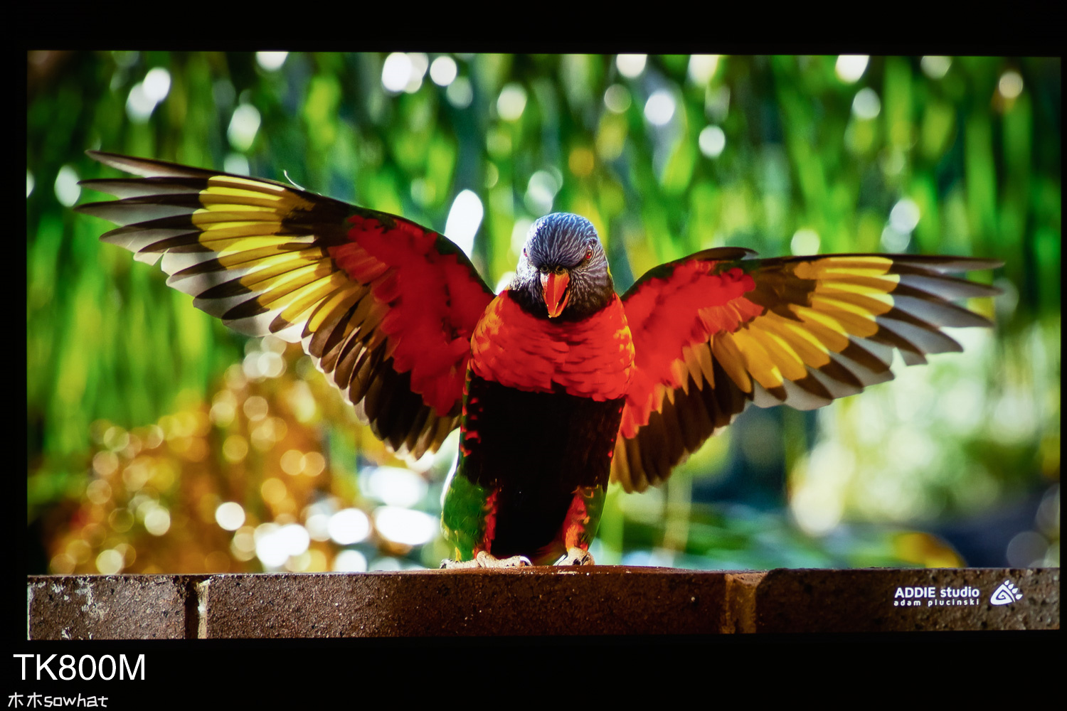 8000块的4K投影仪效果怎么样,800元的1080p的投影仪