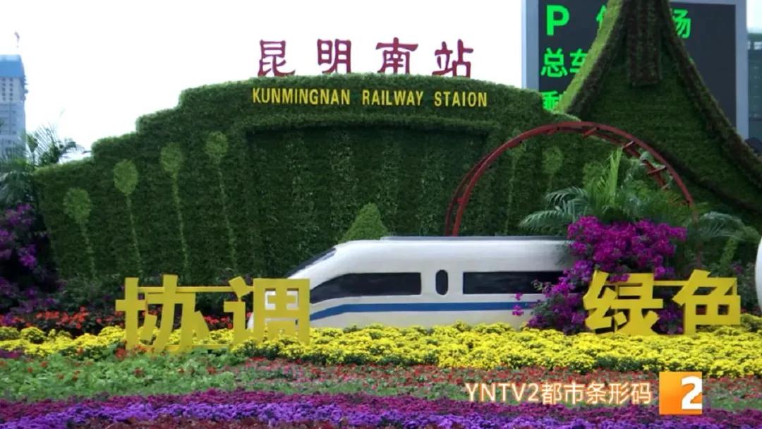 昆明100个立体花坛位置,昆明cop15立体花坛