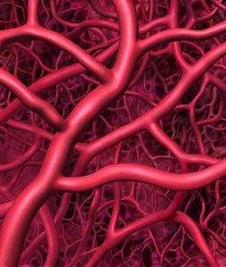 运动员为什么不建议打封闭,打封闭对运动员有什么好处