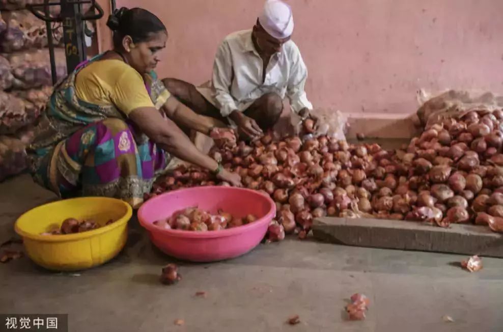 一颗洋葱视频,一颗洋葱让我泪流满面