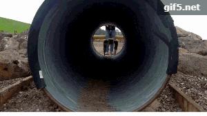 看过机器人拉黄包车吗?波士顿动力机器人满足你的好奇心