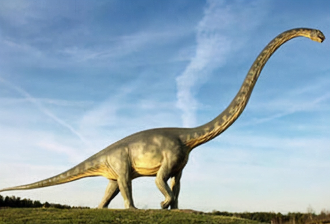 恐龙为什么可以这么大,恐龙时期的动物为什么都这么大