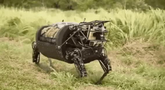 50涓囦竴鍙皬鍨嬫満鍣ㄧ嫍,16000鍏冩渶渚垮疁娉㈠+椤垮姩鍔涙満鍣ㄧ嫍