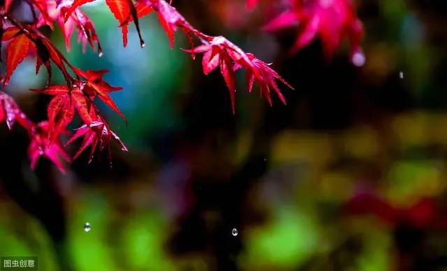 《中华诗坛》古诗词赋（12）