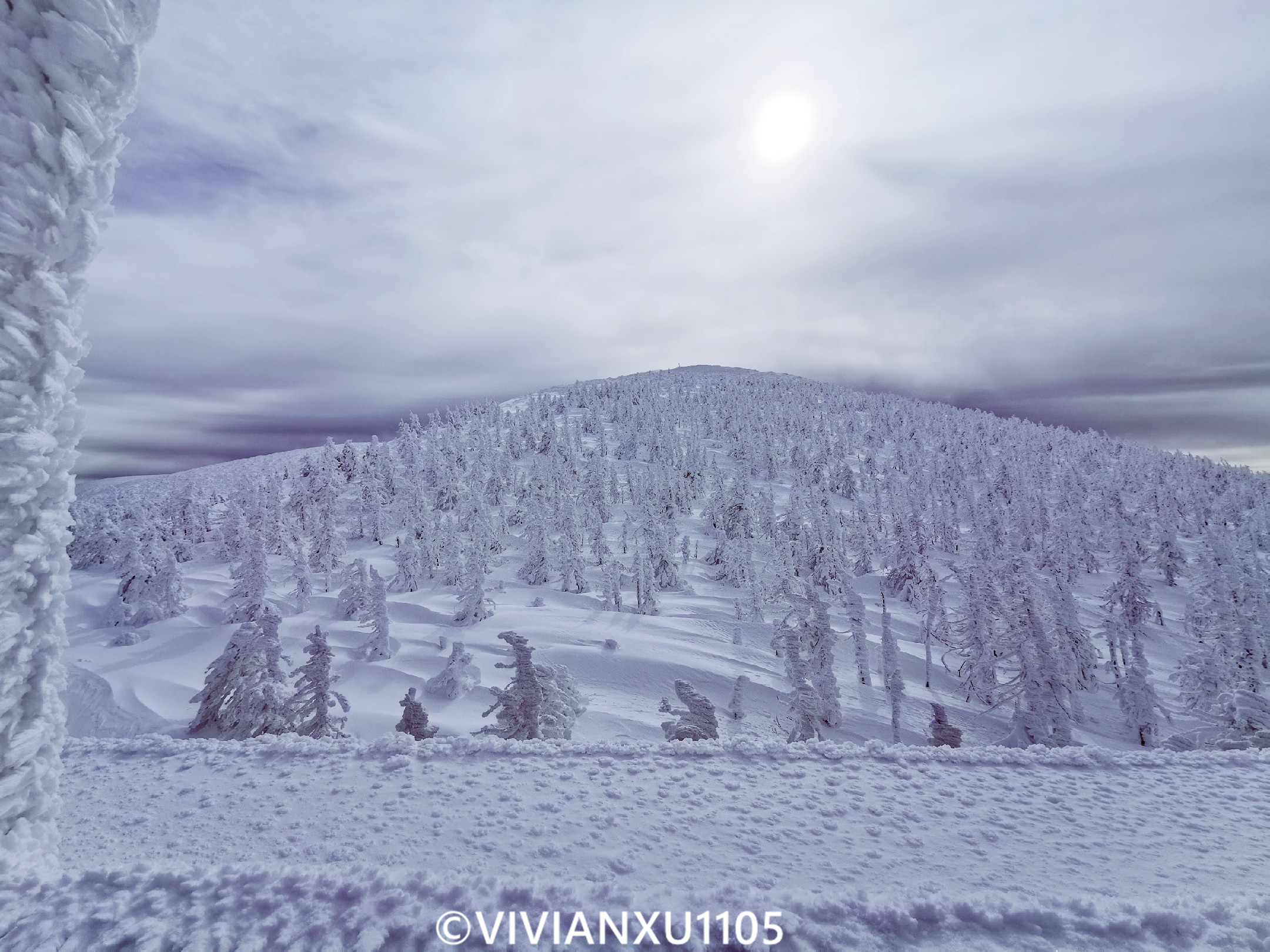 塑料母女深度解锁日本东北秋田县山形县