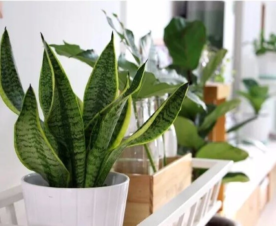 极简风的家具搭配色调,美到极致的家具搭配