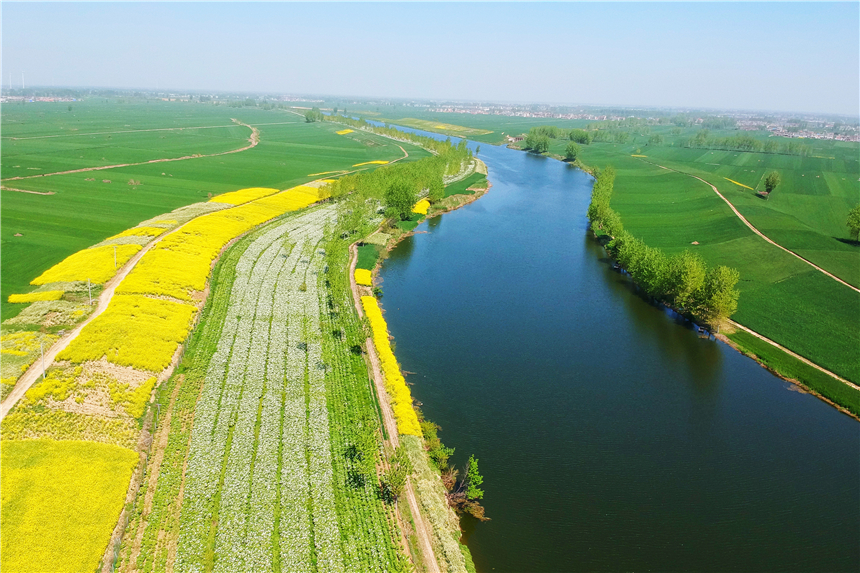 我和宿州有个约会,一场花事,一次慢旅行,探寻最烟火的宿州味道