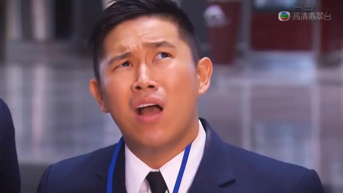 欧阳靖演过什么,欧阳靖在tvb演什么