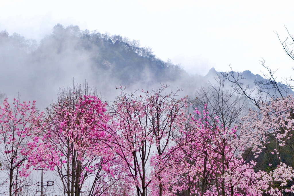 绵阳市两天一夜旅游攻略,绵阳周末去哪玩推荐小孩
