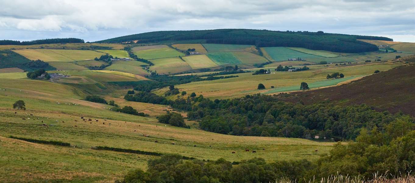 打破传统威士忌,苏格登15年威士忌喝法
