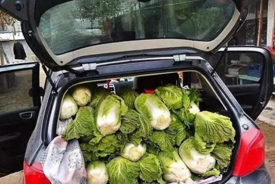路虎拉白菜视频,后备箱拉菜被罚