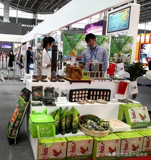 果桑产业高效生态发展模式开发,果桑产业新模式