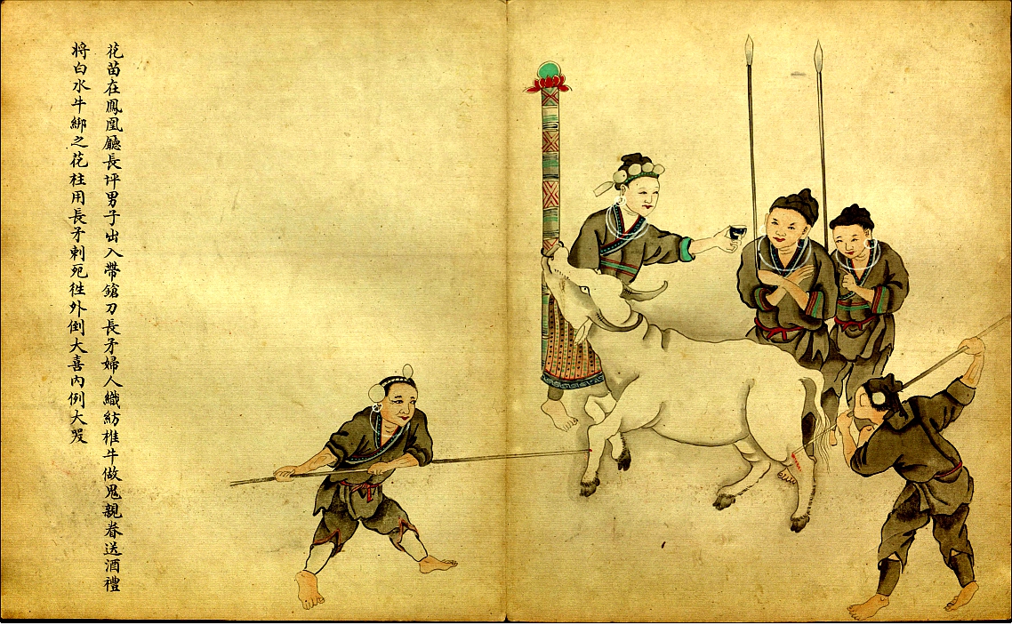 苗族巫蛊之术全集,苗族巫蛊术的真相