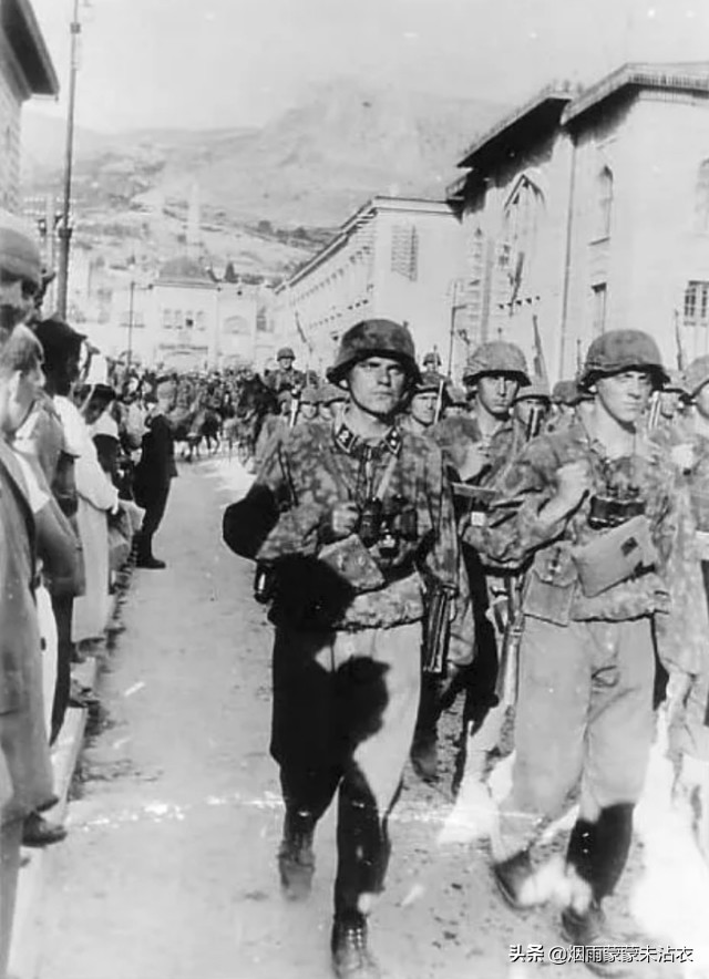 巴尔干的恶棍，*党**卫军“欧根亲王师”组建过程及战史