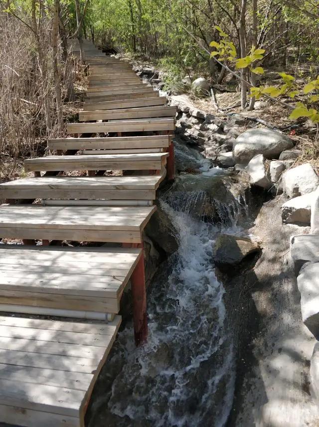 绿地城二期绿化乌鲁木齐,乌鲁木齐中海万锦公馆绿化环境