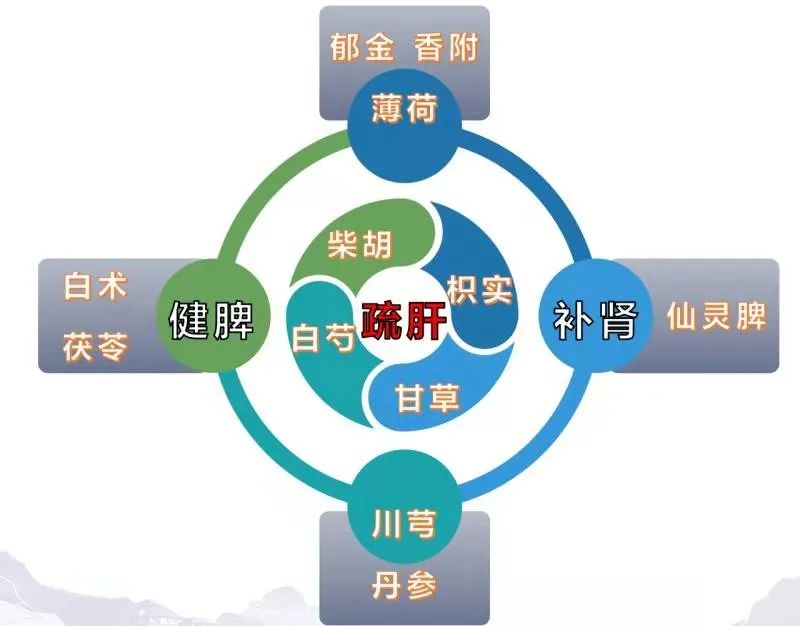 疏调气机汤的功效配方,桥本氏甲状腺炎中医辨证方剂