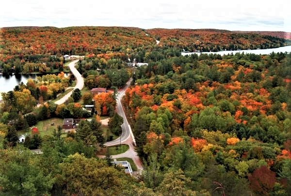 秋季到加东来看枫