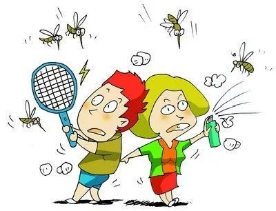 夏季防蚊大作战,夏季驱蚊大作战视频教程