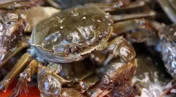 最新最全版私藏版《西安批发市场地图》来啦