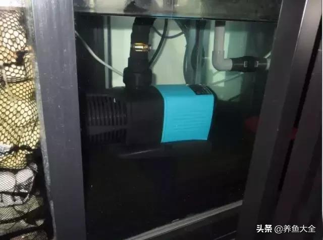 杩囨护绁炲櫒濂界墿鎺ㄨ崘,楸肩几杩囨护骞茶揣璁茶В