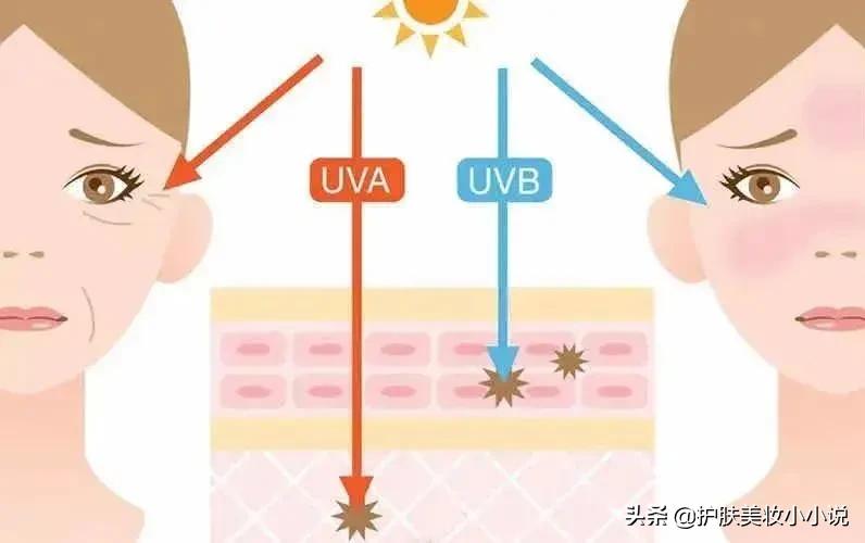护肤好评前十名,好用的护肤品推荐防晒