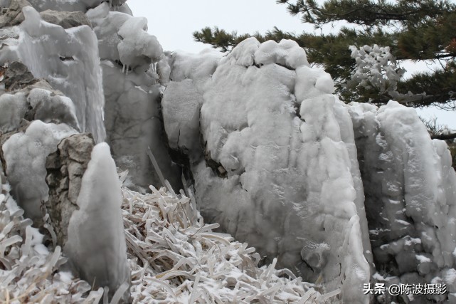 影像｜望作信：情缘“百里荒”13年，100多次拍摄